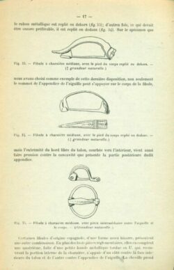 Evolution et classification des fibules