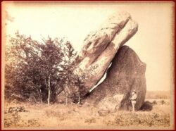 Rocher de FONTAINEBLEAU