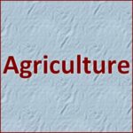 Agriculture