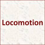 Locomotion