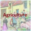 77agriculture