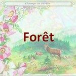 Forêt