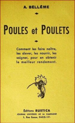 Poules et Poulets