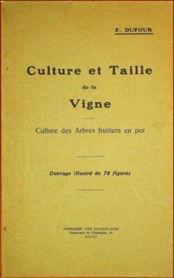 Culture et Taille de la Vigne