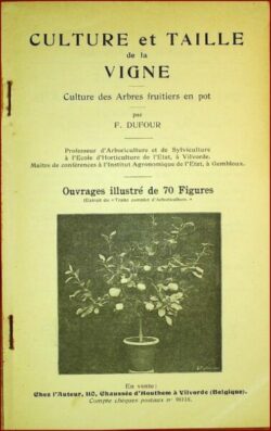 Culture et Taille de la Vigne