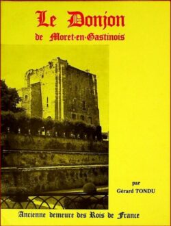 Le donjon de Moret-en-Gastinais