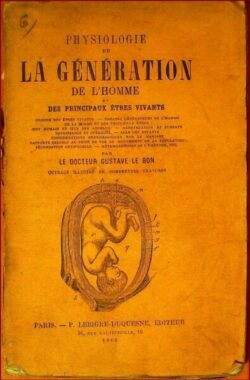 Physiologie de la génération de l'homme