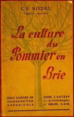 LA CULTURE DU POMMIER EN BRIE