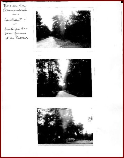 Bois de la Justice - Bois de la Commanderie à Saint-Pierre-les-Nemours – Image 4
