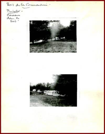Bois de la Justice - Bois de la Commanderie à Saint-Pierre-les-Nemours – Image 5