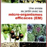 Une année au jardin avec les micro-organismes efficaces (EM)
