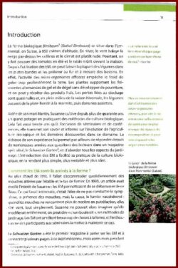 Une année au jardin avec les micro-organismes efficaces (EM)