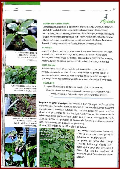 Une année au jardin avec les micro-organismes efficaces (EM) – Image 3