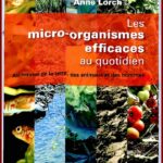Les micro-organismes efficaces au quotidien
