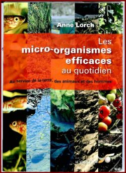 Les micro-organismes efficaces au quotidien
