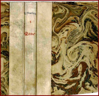 MANET – Image 2