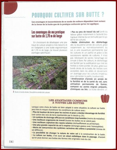 Réussir la culture sur butte – Image 3