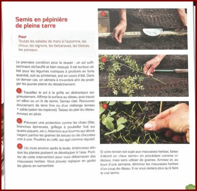 Je réussis mes plants du premier coup ! – Image 2