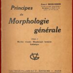 Principes de Morphologie générale