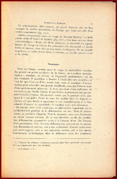 Principes de Morphologie générale – Image 2