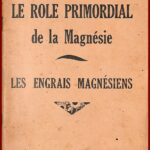 LE ROLE PRIMORDIAL de la Magnésie
