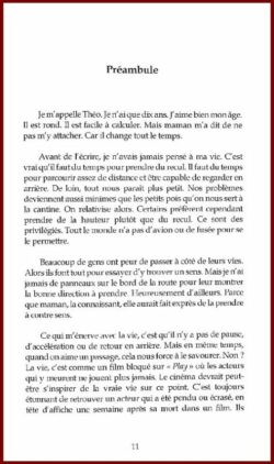 L'envol du flamant rose