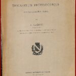 Montaigu Ticastrum préhistorique, près Laines-aux-Bois (Aube)