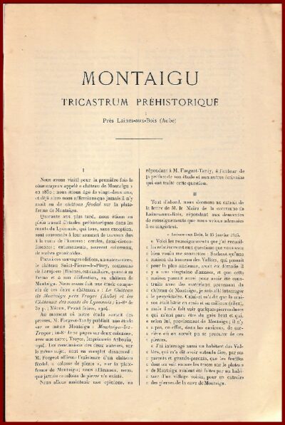 Montaigu Ticastrum préhistorique, près Laines-aux-Bois (Aube) – Image 2