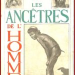 Les ancêtres de l'Homme