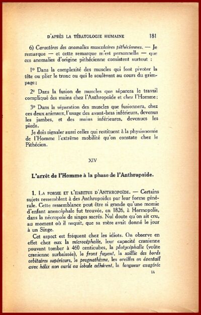 Les ancêtres de l'Homme – Image 2