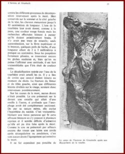 LES HOMMES DES TOURBIÈRES