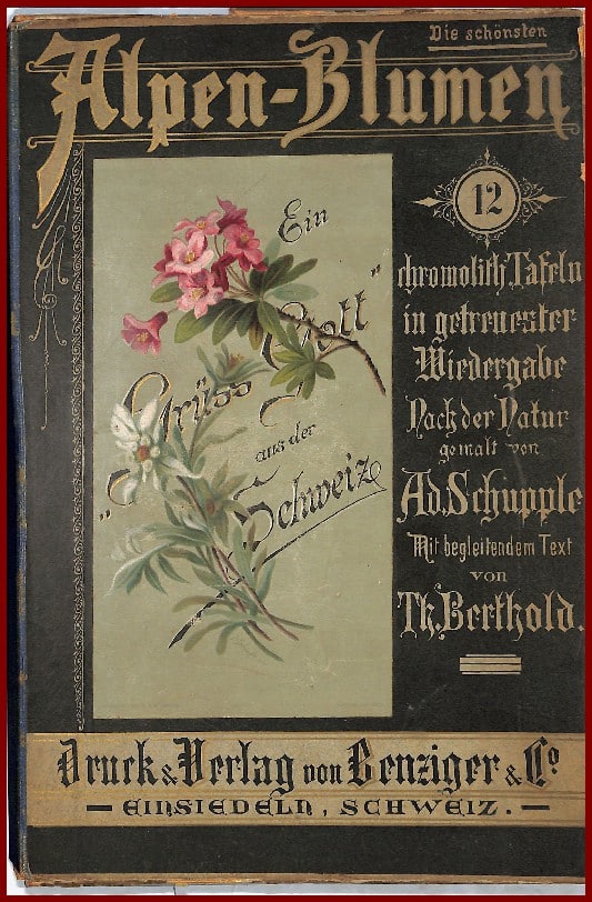 Alpen-Blumen