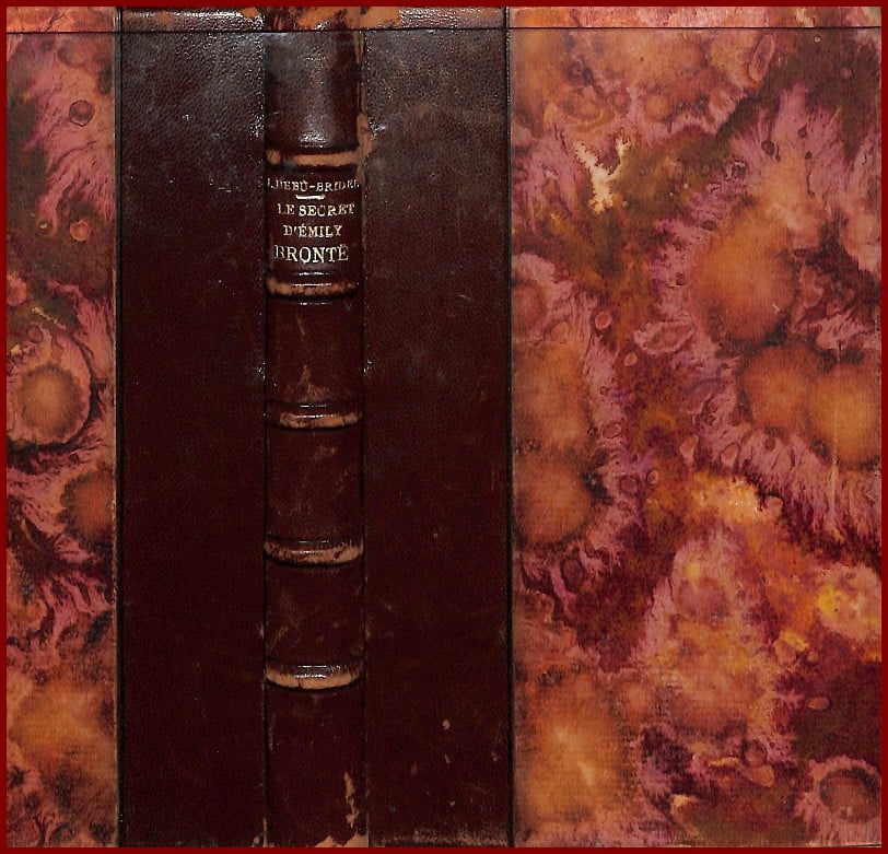 LE SECRET D'EMILY BRONTË – Image 2