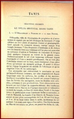 TANIS - dans le Delta Égyptien