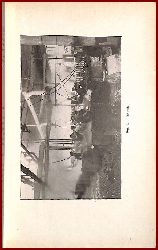 L'Abattoir modèle de LYON – Image 3