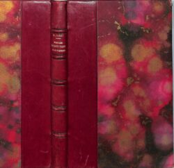 Vieilles demeures parisiennes