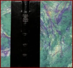 Madame Elisabeth de France