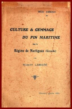 Culture et gemmage du Pin en Gironde