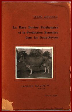 La race Bovine Parthenaise