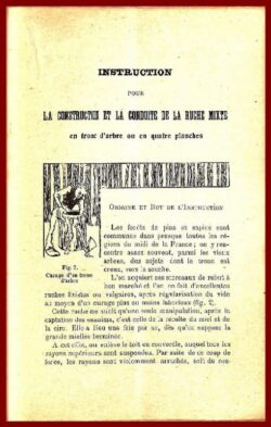 La Ruche mixte en tronc d'arbre