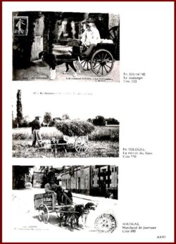 1982 - Catalogue des Cartes Postales