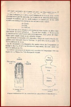 Revue Théosophique (n°5)