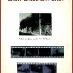 Dossier SAINT-BRICE-LA-FORET -95-