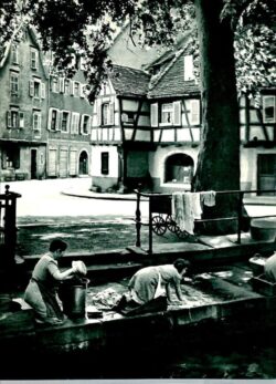 COLMAR et ses Horizons