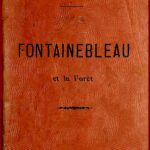Fontainebleau et la Forêt