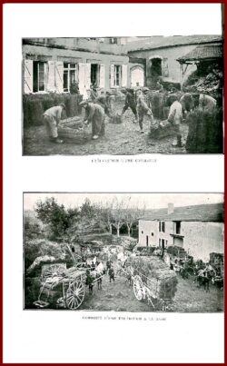 Thomery. Catalogue Etablissements de Viticulture